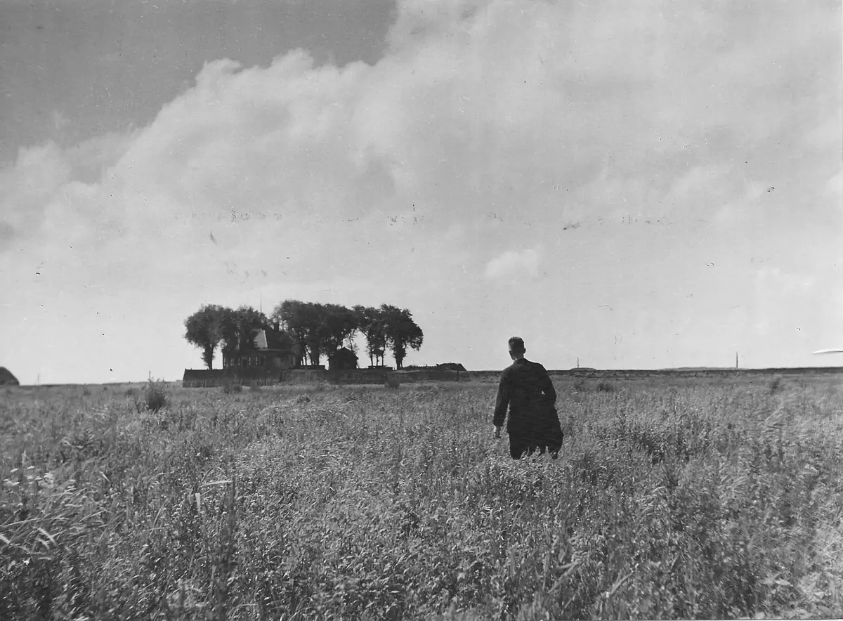 Expositie ‘levende natuur’ op Schokland — Museum Schokland - werelderfgoed, Schokland