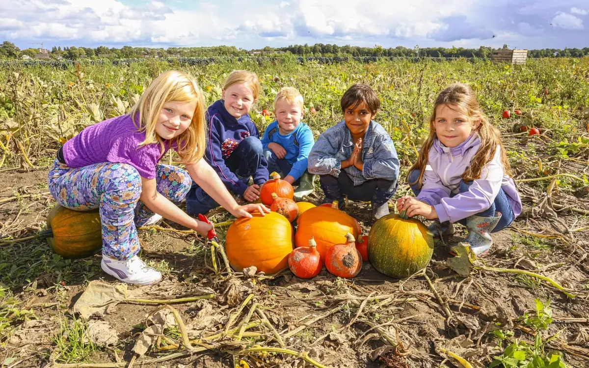 Kürbisfest — Boerderijwinkel 'Boerderij Groeizaam', Emmeloord