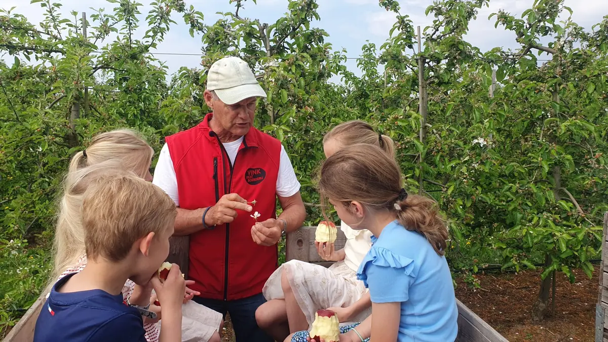 Fruitfestival — Vink Fruitboerderij, Kraggenburg