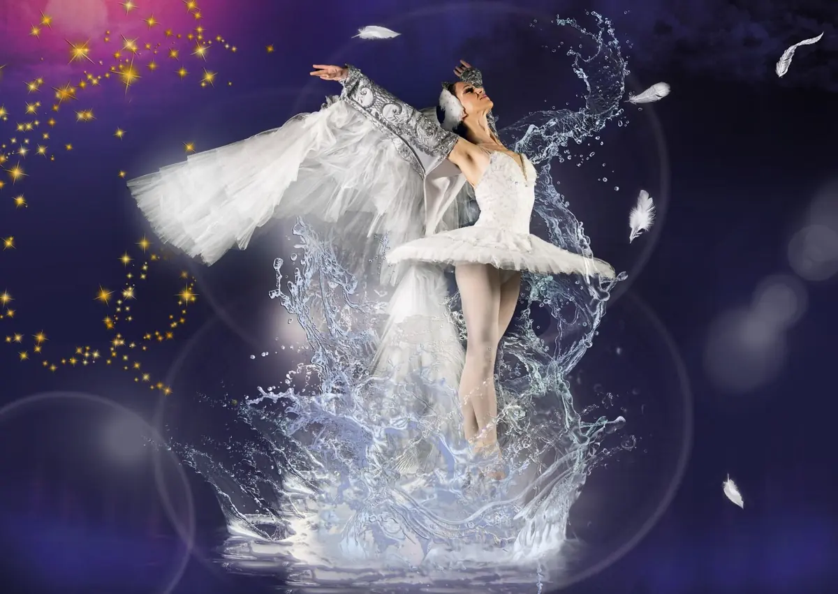 Swan Lake — De Meerpaal, Dronten