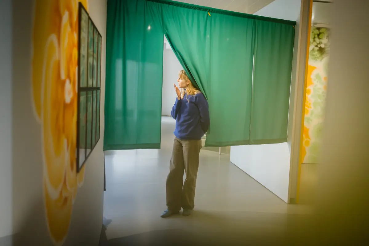 Fiona Lutjenhuis — Museum Helmond locatie Kunsthal, Helmond