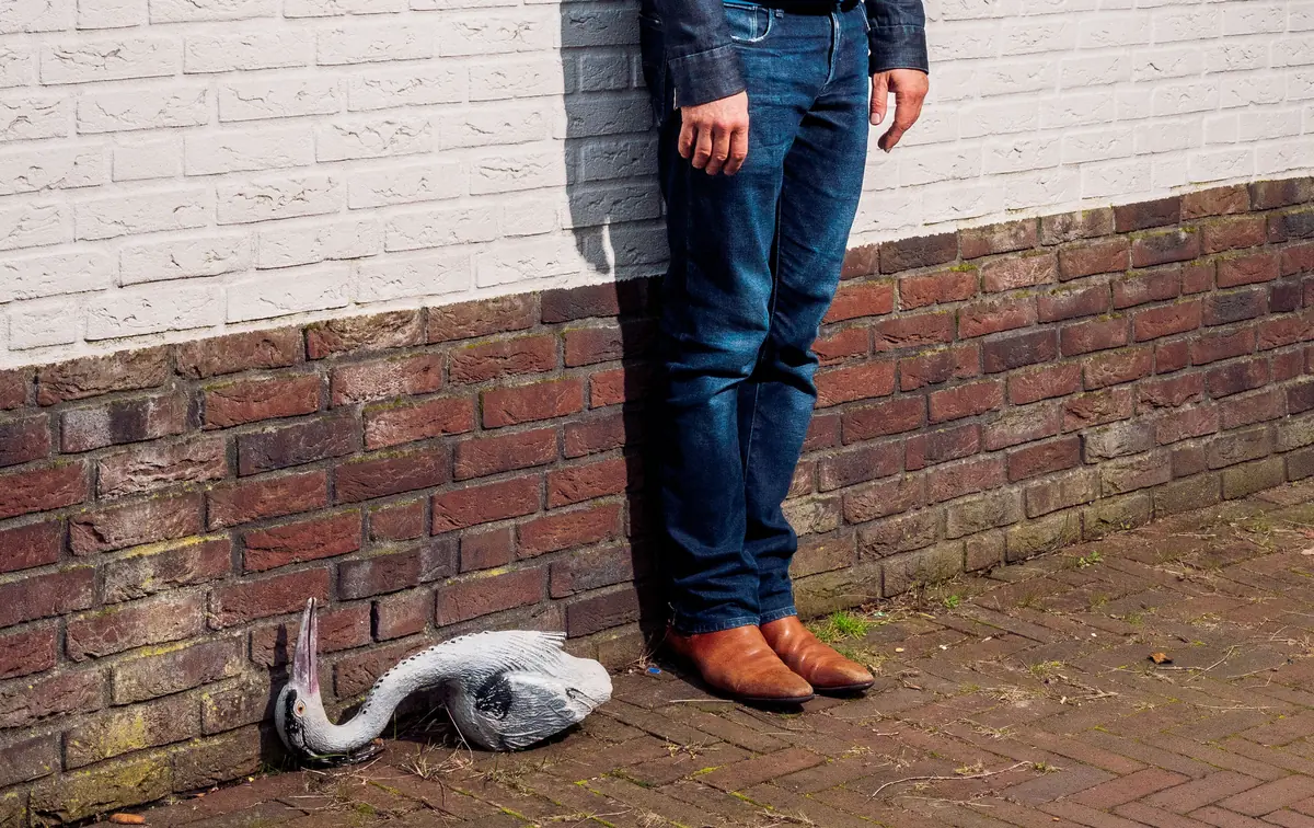 Ronald Snijders — Het Speelhuis, Helmond