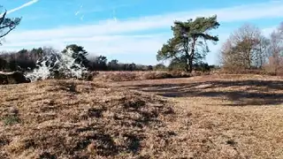 Erleben Sie den Flardenpad