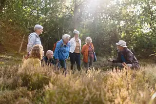 Seizoenswandeling in het Drents-Friese Wold