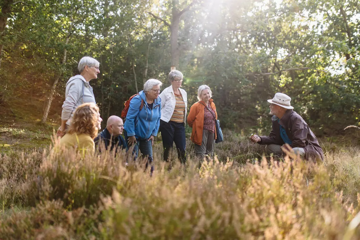 Seizoenswandeling in het Drents-Friese Wold — Buitencentrum Drents-Friese Wold, Appelscha