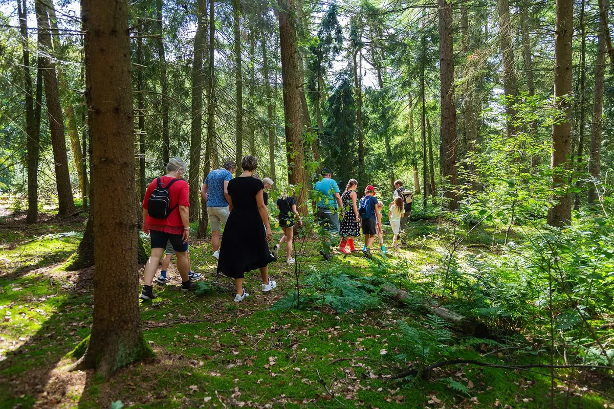 Avontuur in de natuur. — Buitencentrum Drents-Friese Wold, Appelscha