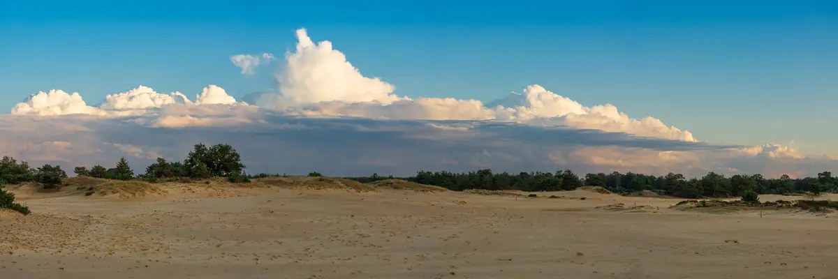 Seizoenswandeling Aekingerzand — Buitencentrum Drents-Friese Wold, Appelscha