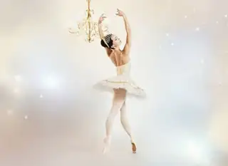 Het Nationale Ballet