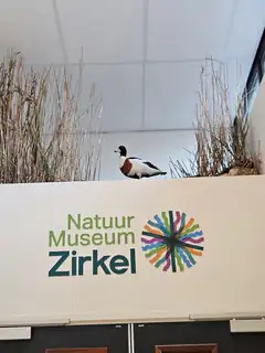 Wenn eine Pflanze zum Arzt geht