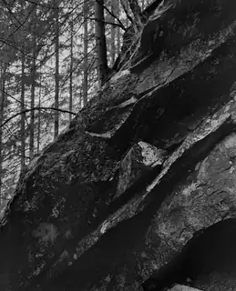 The Artworks | Awoiska van der Molen