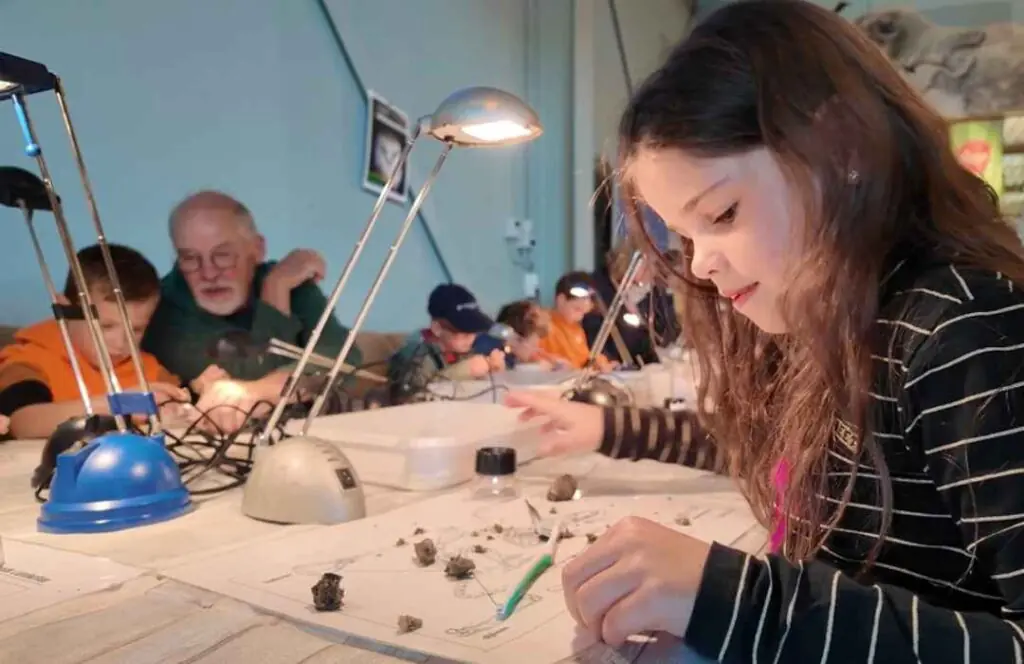 Dissecting Owl Pellets — PiXlife Nature Xperience, Scharendijke