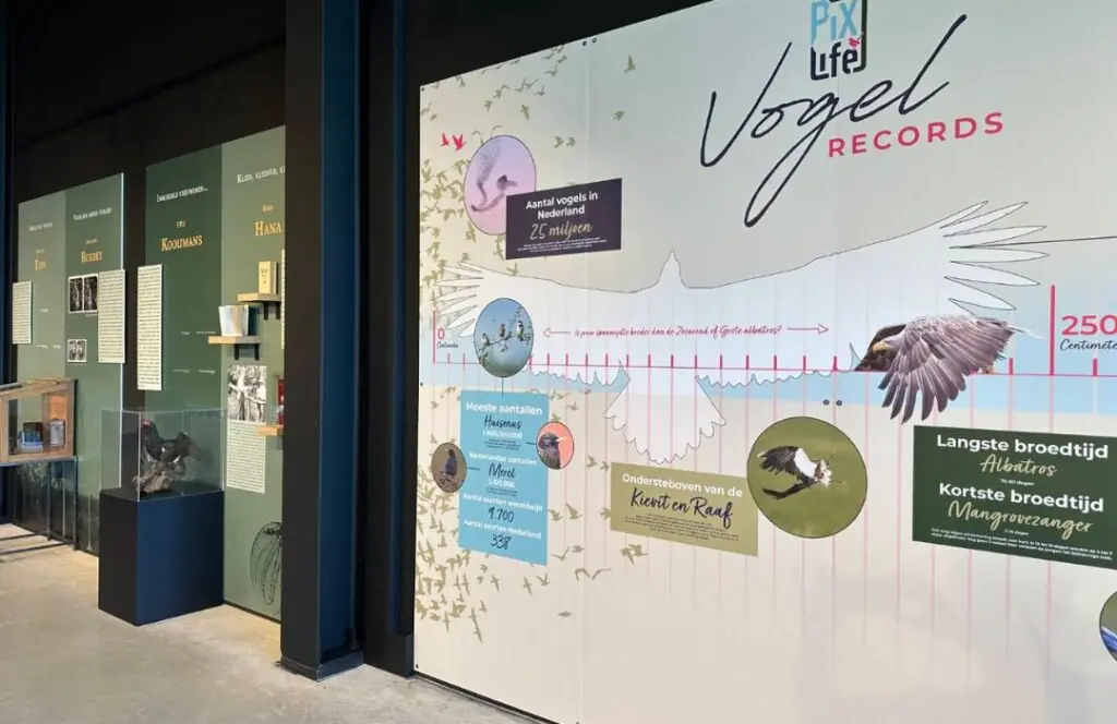 World Bird Records — PiXlife Nature Xperience, Scharendijke