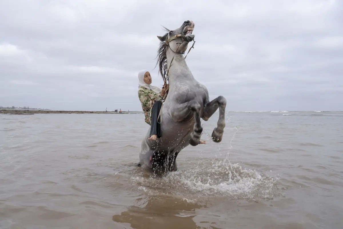 World Press Photo 2026 — Fotomuseum Hilversum, Hilversum