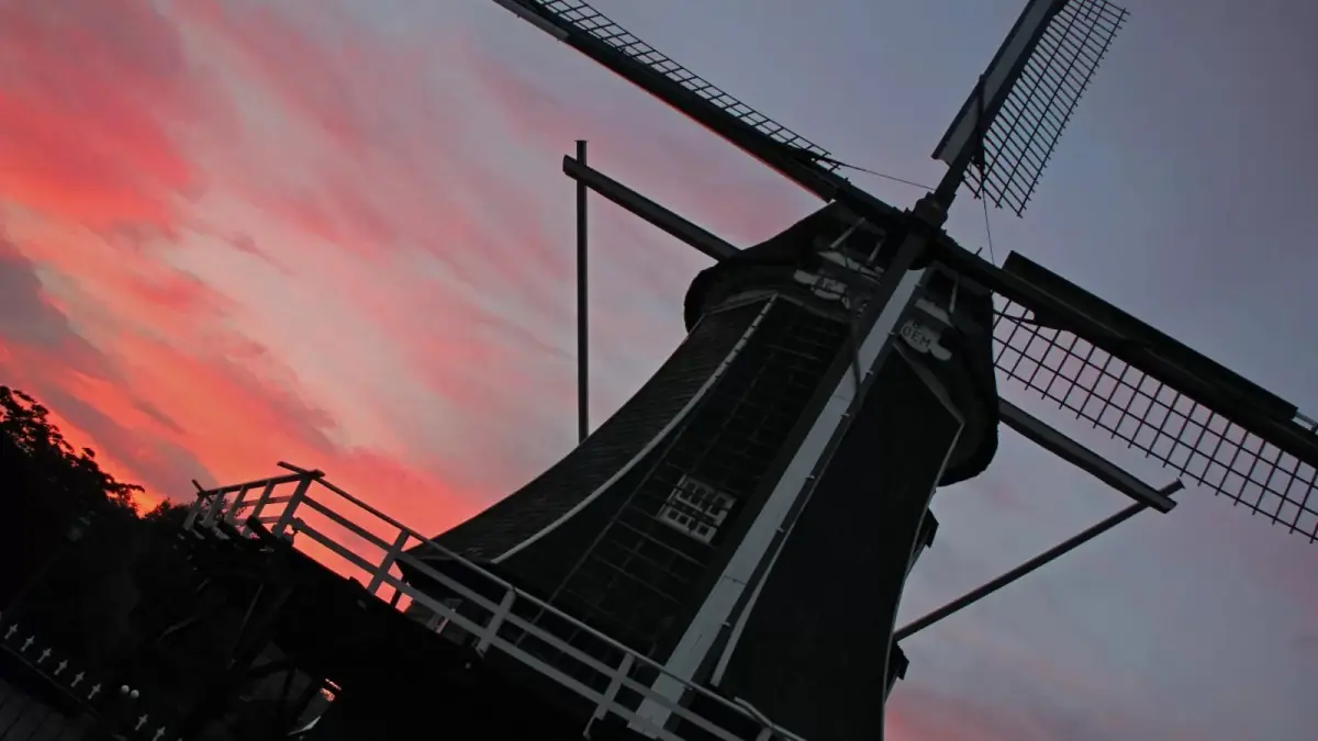 Haaksberger Mühlen: Windmühle De Korenbloem — Windmolen De Korenbloem, Haaksbergen