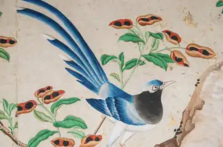 Chinesische Tapeten - Landhuis Oud Amelisweerd