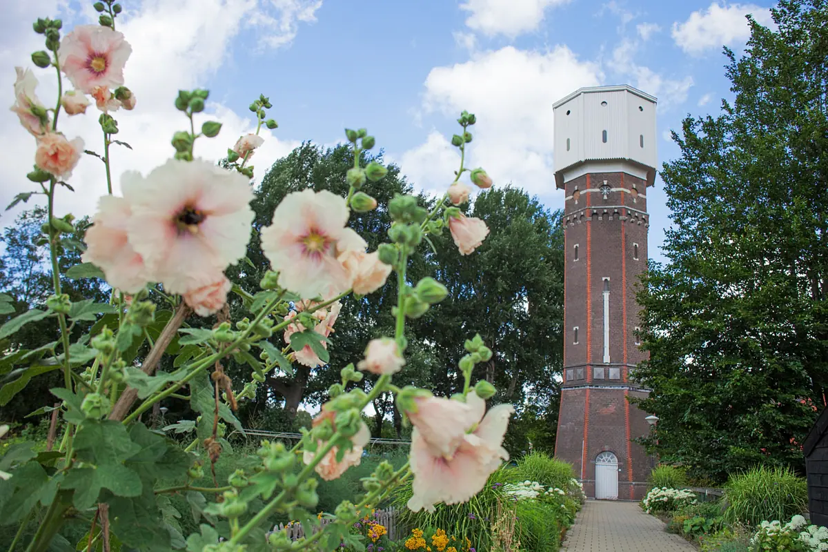 Open Monumentendag — Het Witte Kasteel, Vught