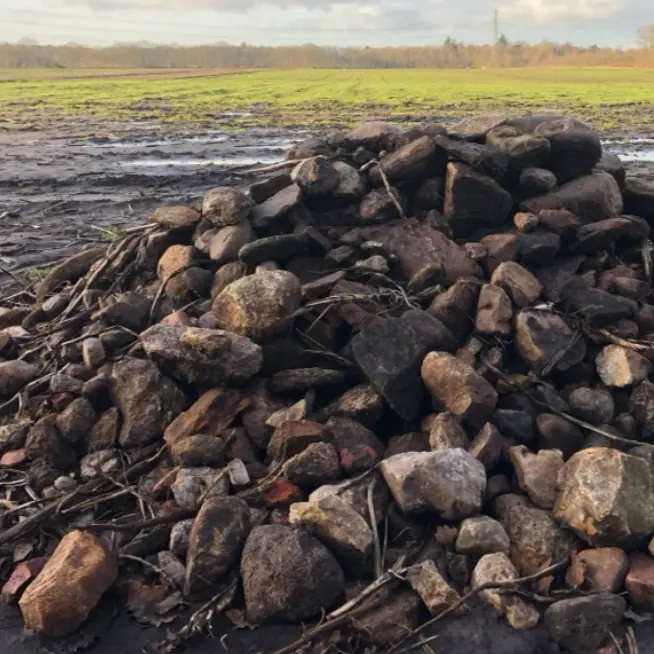 Akkerdemieweken — Natuurplaats Noordsche Veld, Norg