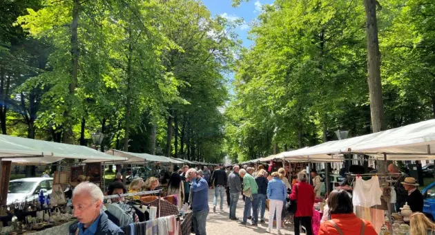 Haager Kunst- und Antiquitätentage — Lange Voorhout, Den Haag