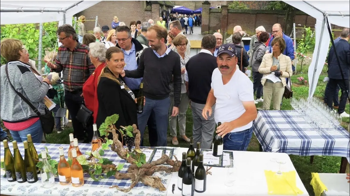 Vineyard Tour with Wine Tasting at Wijndomein Sint Catharina — Sint-Catharinadal, Oosterhout
