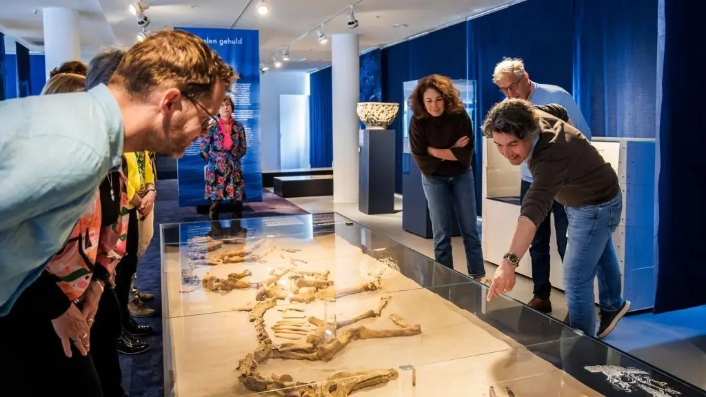 Gruppenführung im Maastricht Museum — Maastricht Museum, Maastricht