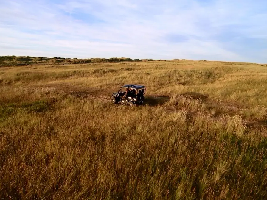 ECO-safari Paal 17 in deutscher Sprache — Het startpunt is bij het Natuurcentrum, Nes