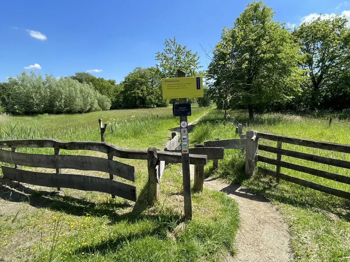 Zomerwandeling De Lutte — Tourist info De Lutte, De Lutte