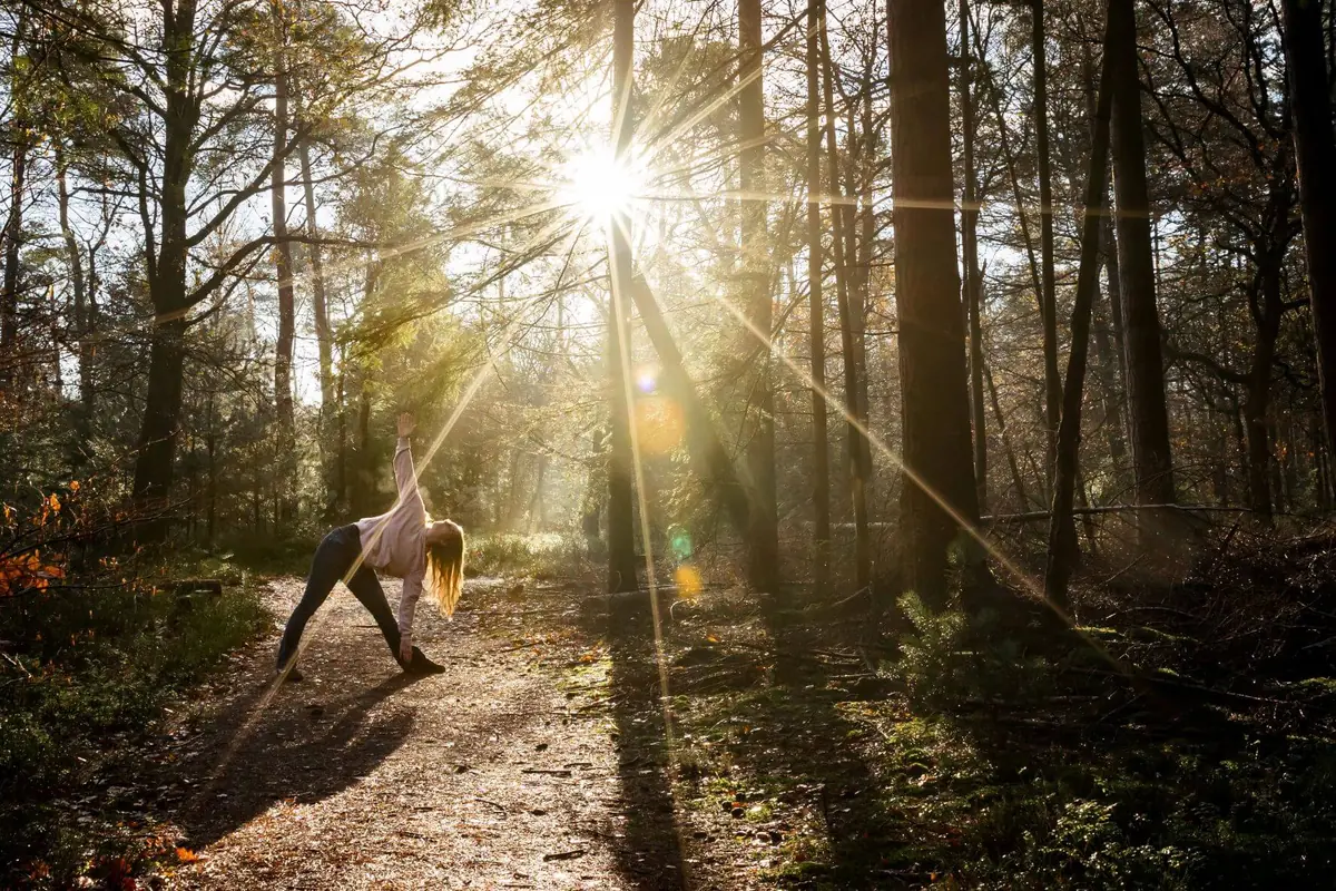 Yoga en Yoga nidra in het bos - Uitagenda - Uit in Apeldoorn — Diverse locaties Apeldoorn, Apeldoorn