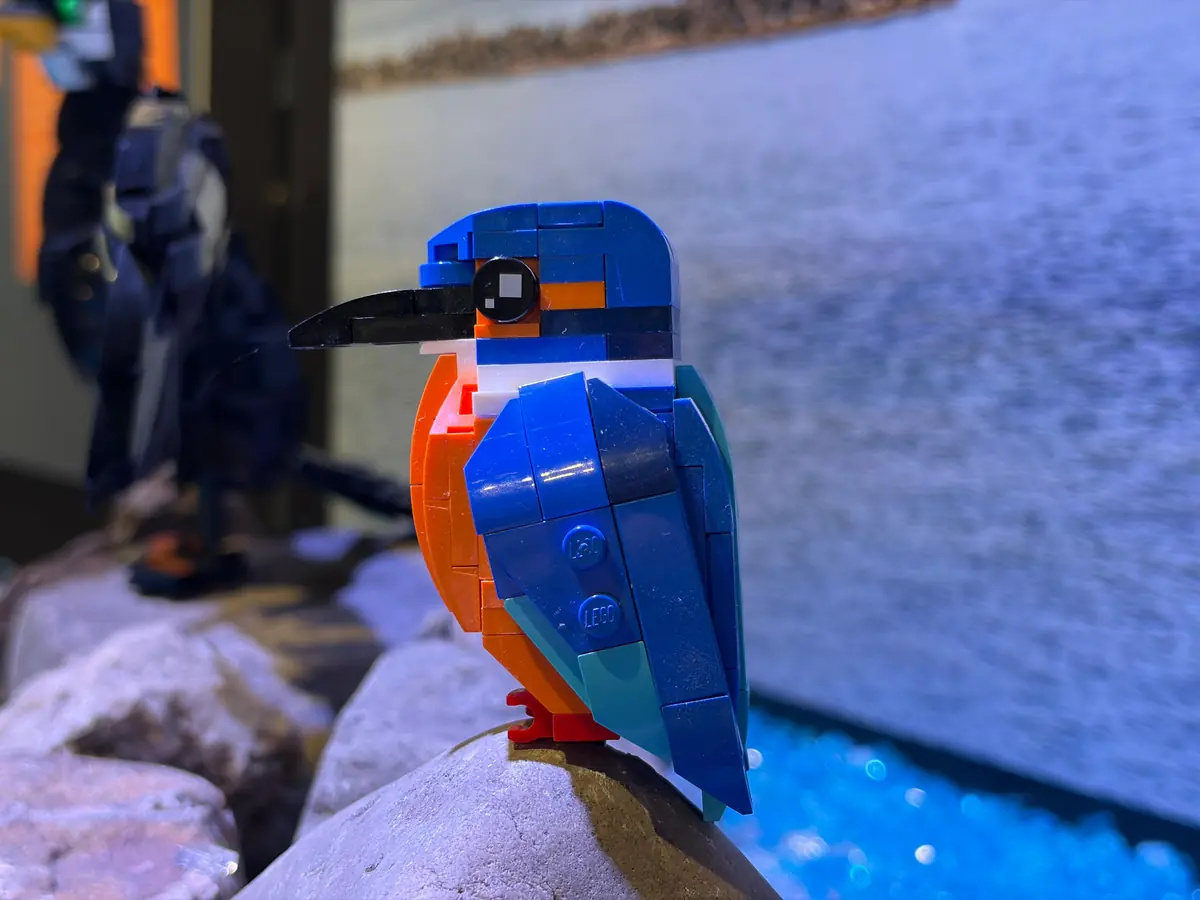 Bird Bricks Ausstellung — PiXLife Nature Xperience, Ouddorp