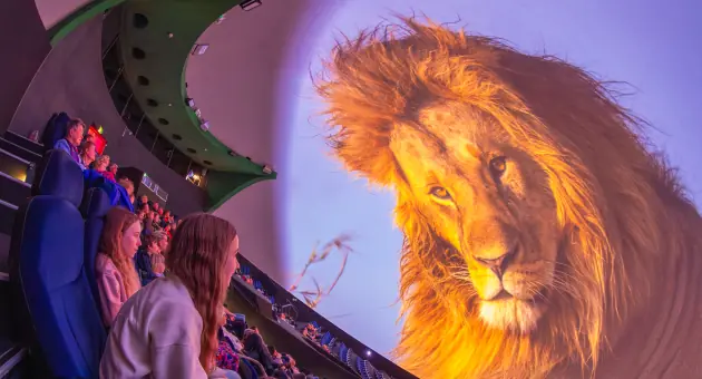 Museon Omniversum - films — Museon - Omniversum, Den Haag
