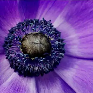 Workshop Smartphone-Fotografie