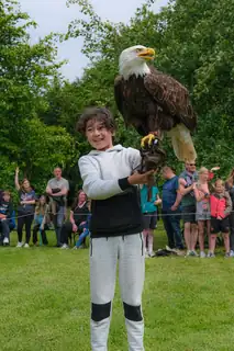 Greifvogelshow