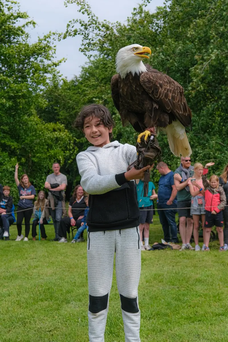 Greifvogelshow — Dinopark & Landgoed Tenaxx, Wedde