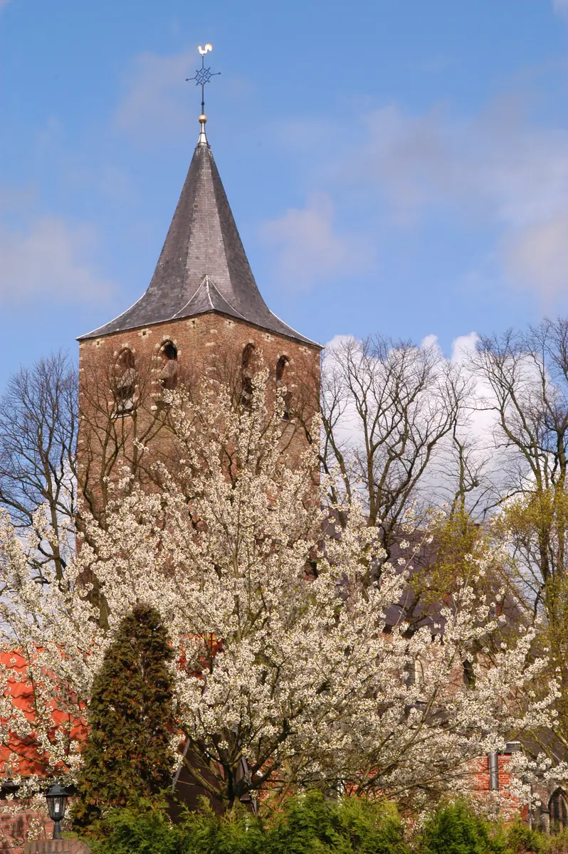 Beiaardbespeling St. Martinuskerk — Sint Martinuskerk, Halsteren