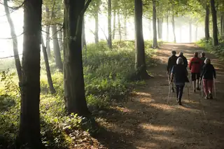 Schreibwanderung und Workshop: Begegnung