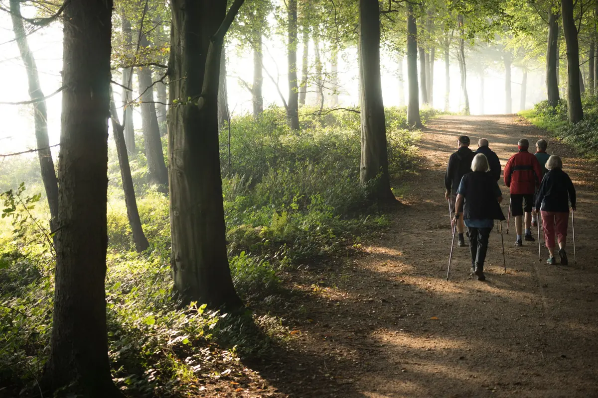 Schreibwanderung und Workshop: Begegnung — de Bibliotheek Waalre, Waalre