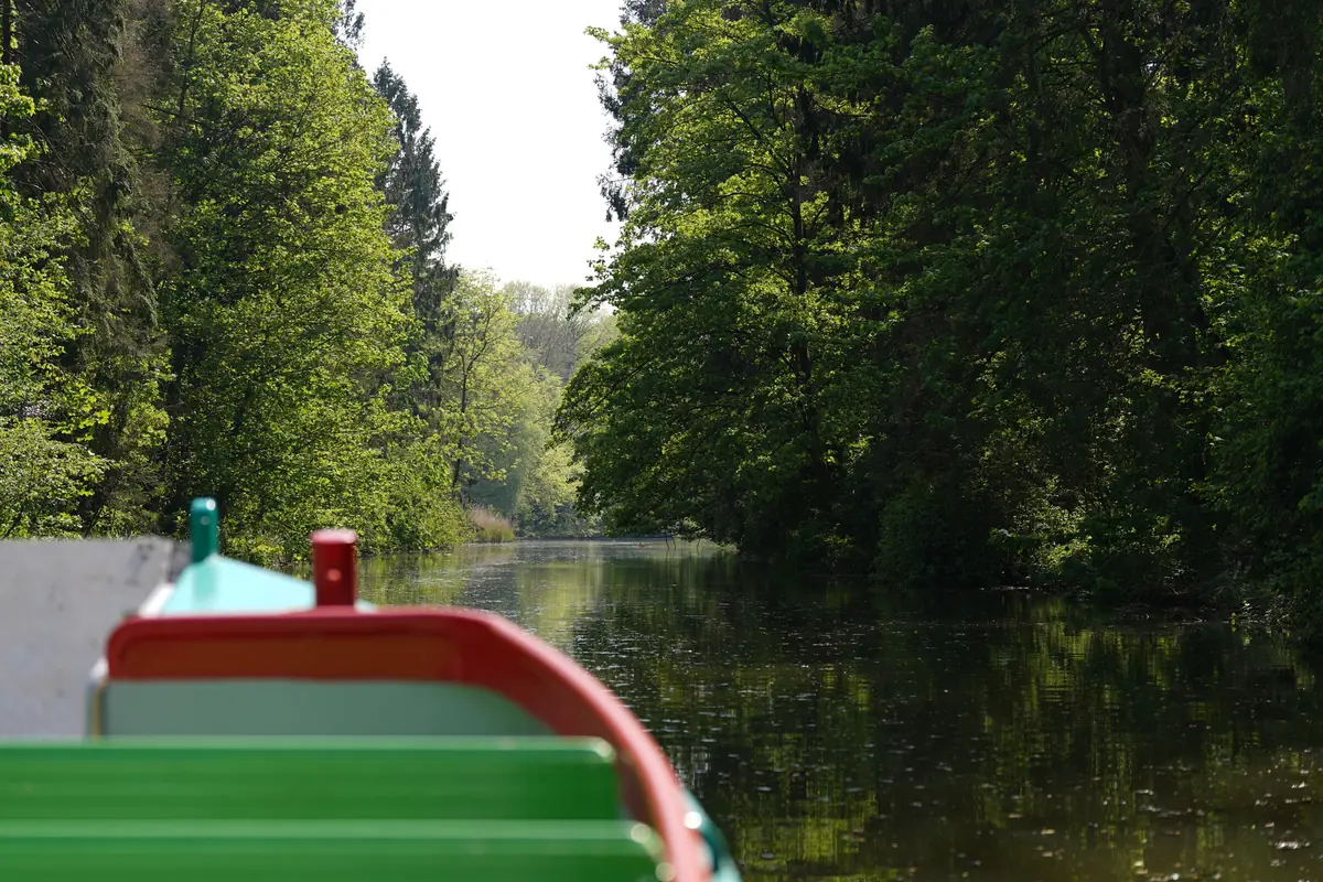 Boat tour with the Fluistervink — Amsterdamse Bos, Amstelveen