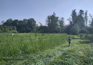 Uurtje Natuurtje: Vortrag Dwelfsloot