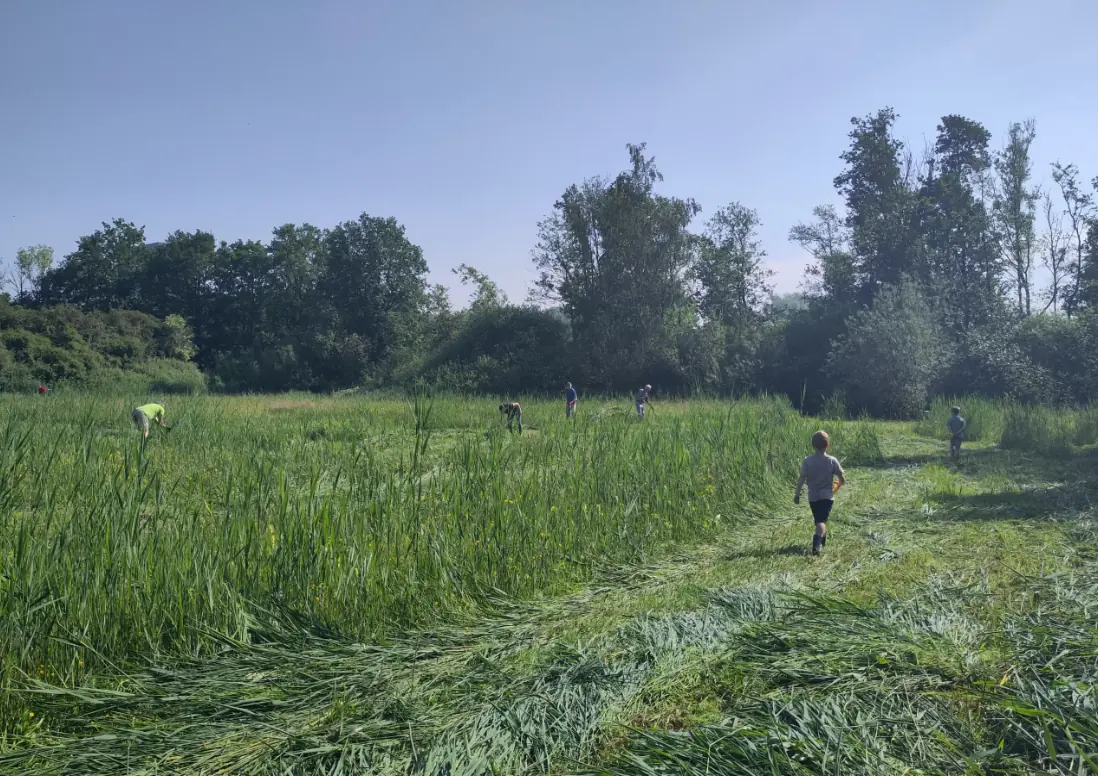 Uurtje Natuurtje: Vortrag Dwelfsloot — Natuurkwartier Nieuwegein, Nieuwegein