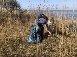 Mitmachen? Aufräumaktion im Nationalpark Lauwersmeer