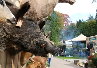 Kulinarisches Wildspiel-Festival