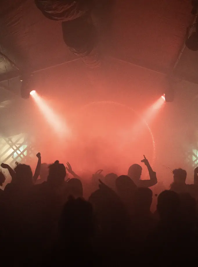PIP Halloween II — PIP Den Haag, Den Haag