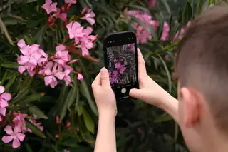 Workshop: Smartphone-Fotografie für Kinder!