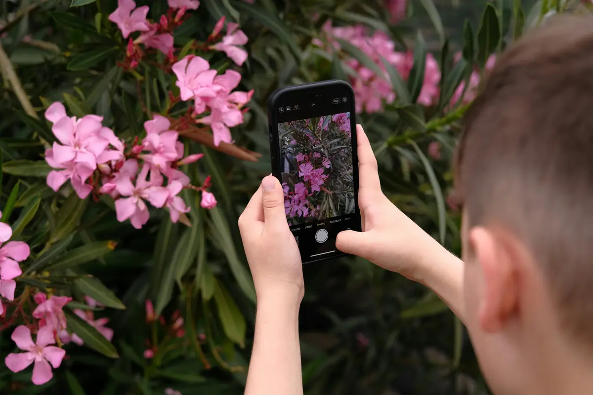 Workshop: Smartphone fotografie voor kids! — de Bibliotheek Drunen, Drunen