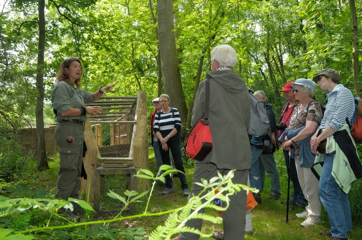 Bootsfahrt zur Entenfalle — Bezoekerscentrum De Wieden, Sint Jansklooster