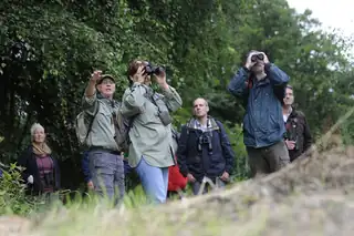 Wintervogel-Wanderung in den Ackerdijkse Plassen