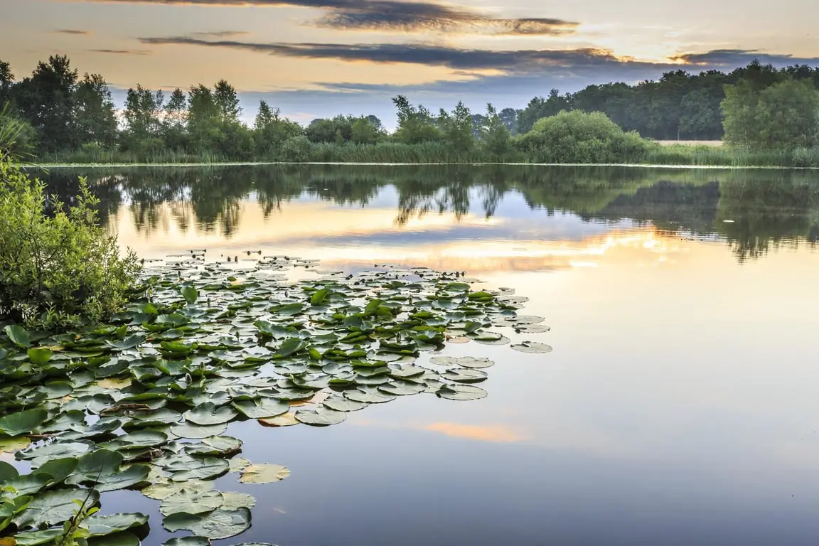 Stille Bootsfahrt - De Wieden — Bezoekerscentrum De Wieden, Sint Jansklooster