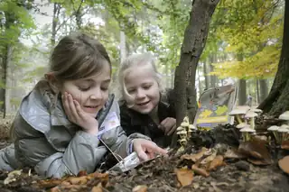 OERRR Pilzsafari - Leuvenumse Wälder