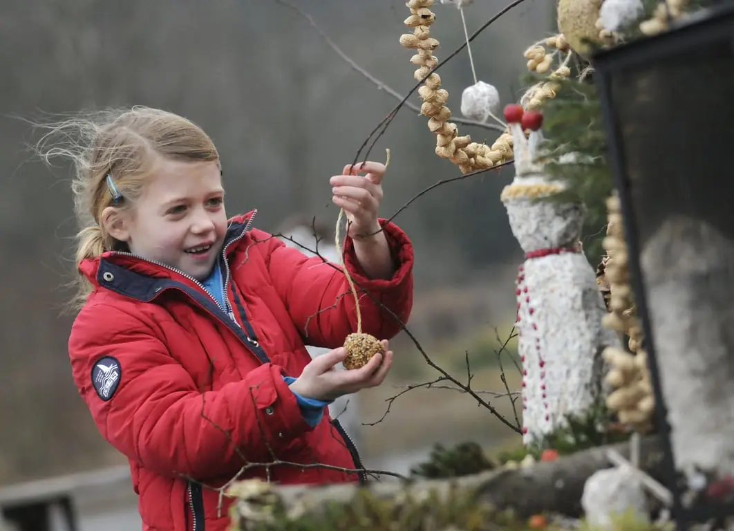 OERRR Fetter Vogel Tag in 's-Graveland — Bezoekerscentrum Gooi en Vechtstreek, 's-Graveland