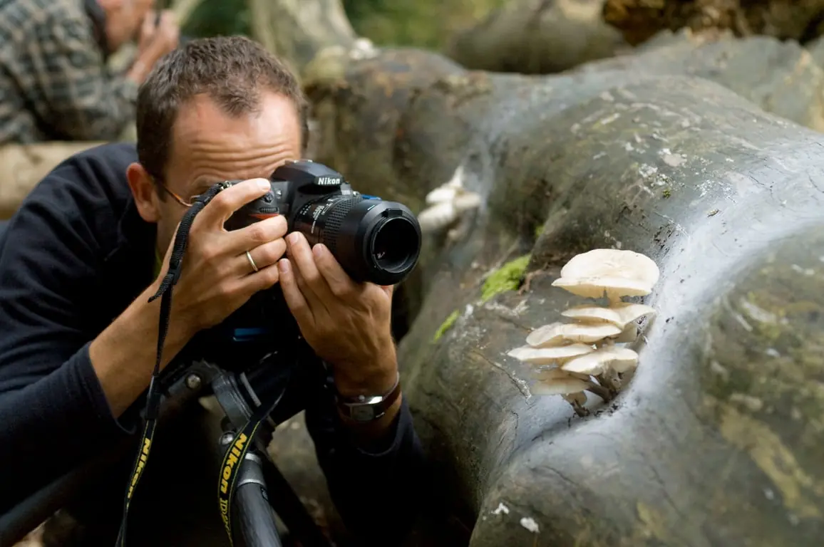 Mushroom Photography Workshop in the Kaapse Bossen — Parkeerplaats Kaapse Bossen Leersumsestraatweg, Doorn