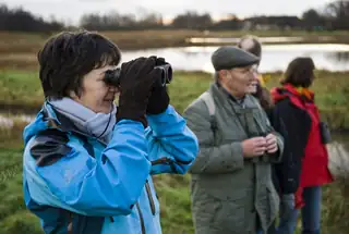 Walking through the Ackerdijkse Plassen